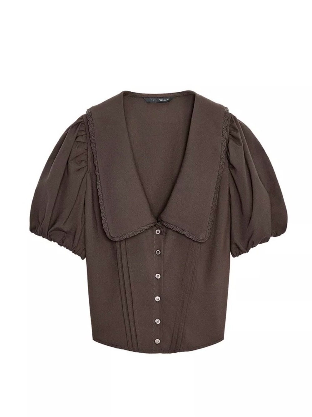 ZARA Brown Peter Pan Top